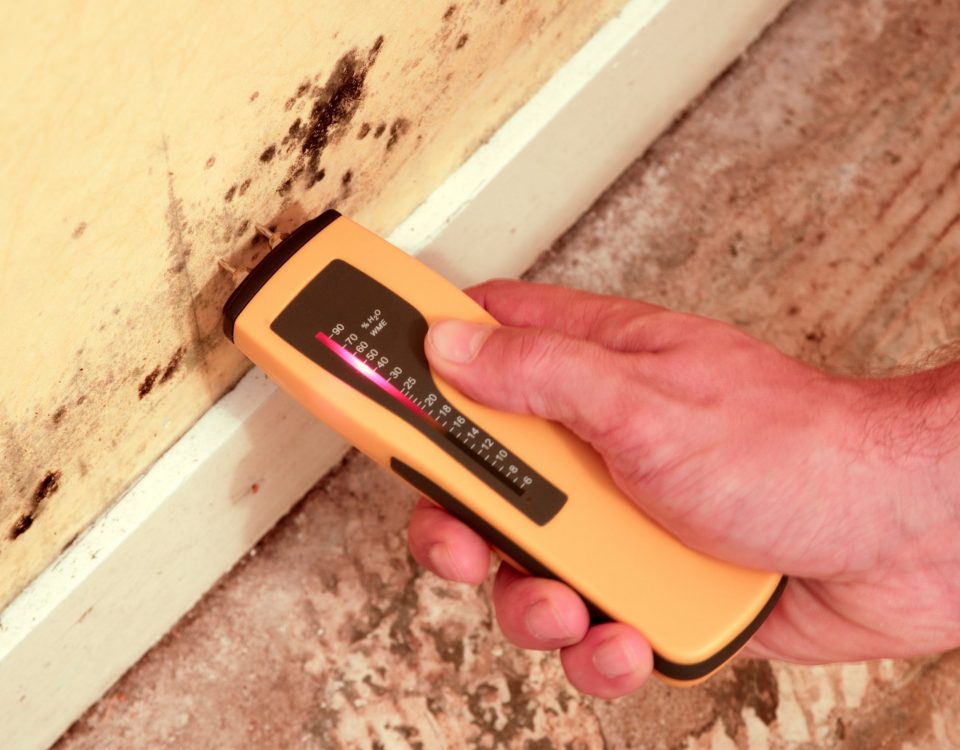 Aufsteigende Feuchtigkeit in der Wand