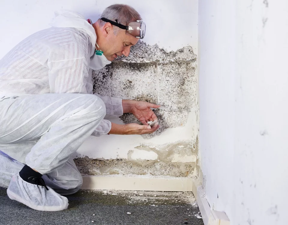 Experte untersucht schweren Schimmelbefall an feuchter Wand