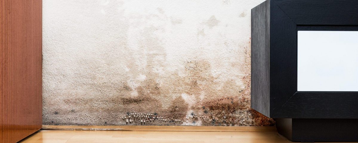 Aufsteigende Feuchtigkeit und Salpeter an Innenwand im Wohnraum