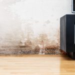 Aufsteigende Feuchtigkeit und Salpeter an Innenwand im Wohnraum