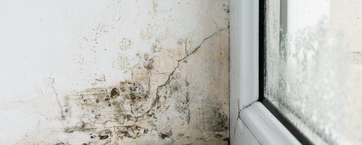 Schimmelbildung in Fensterecke durch Feuchtigkeit und Kondensation