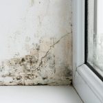 Schimmelbildung in Fensterecke durch Feuchtigkeit und Kondensation