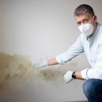 Experte mit Schutzmaske zeigt auf Feuchtigkeitsflecken an Wand