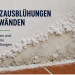 salzausbluehungen-an-waenden